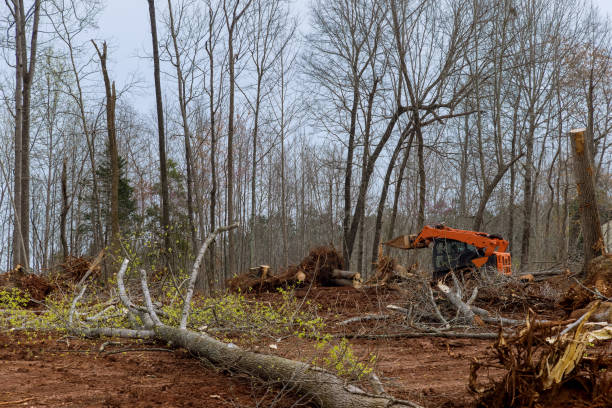 Millbrook, AL Tree Care Company